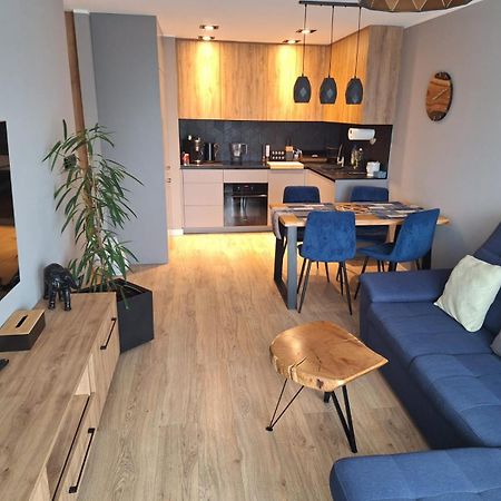 גליביצ'ה Komfortowy Apartament Dla 7 Osob Ch Arena, Prywatny Parking מראה חיצוני תמונה